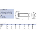 BK SÜLLYESZTETTFEJŰ M06*30 DIN 7991 A4 SAVÁLLÓ  METRIKUS CSAVAROK