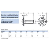 BK FGF ALÁTÉTES-PEREMES M06*16 ISO 7380AL 10.9 HORG. IMPORT METRIKUS CSAVAROK